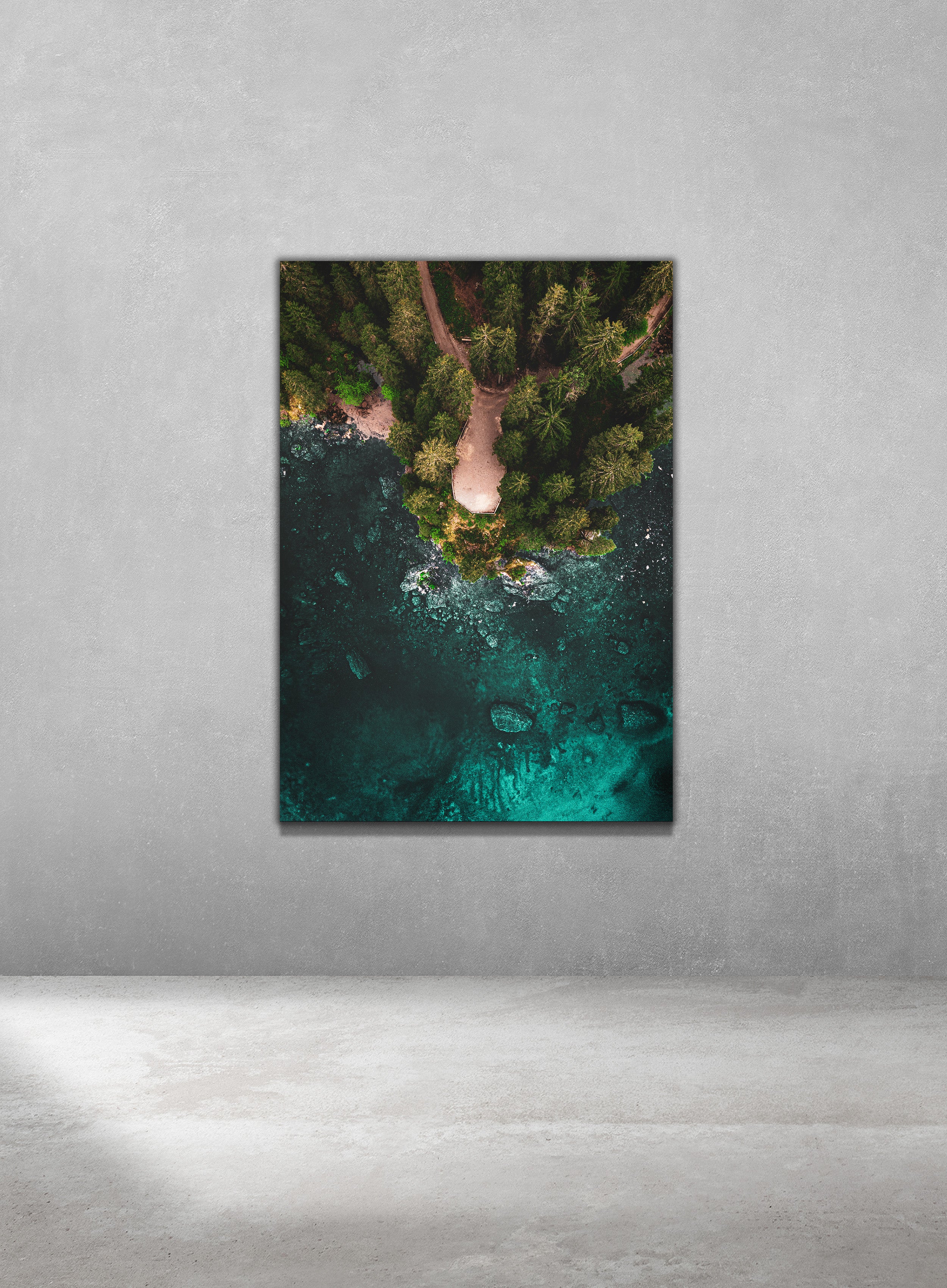 The Shallows