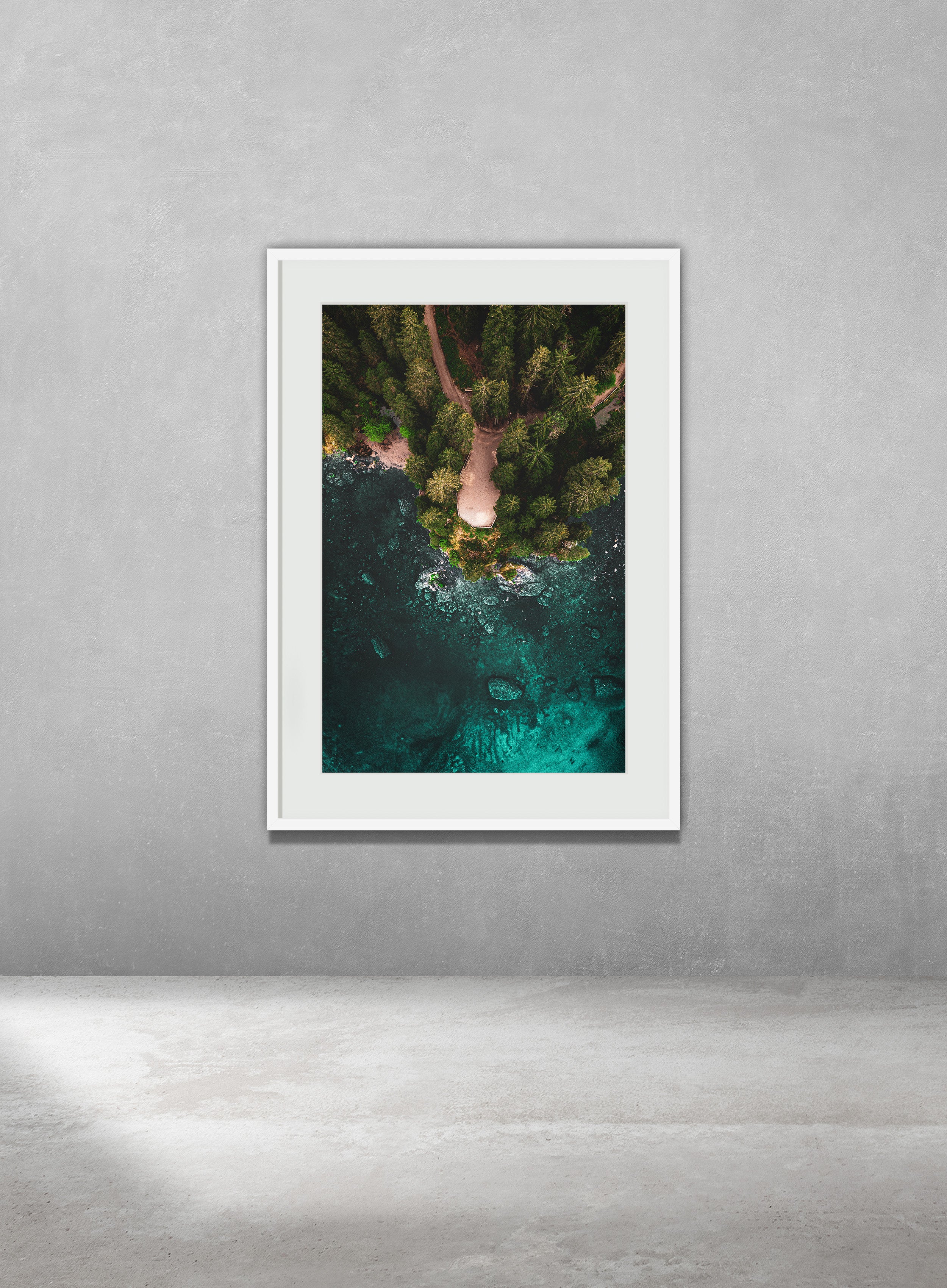 The Shallows