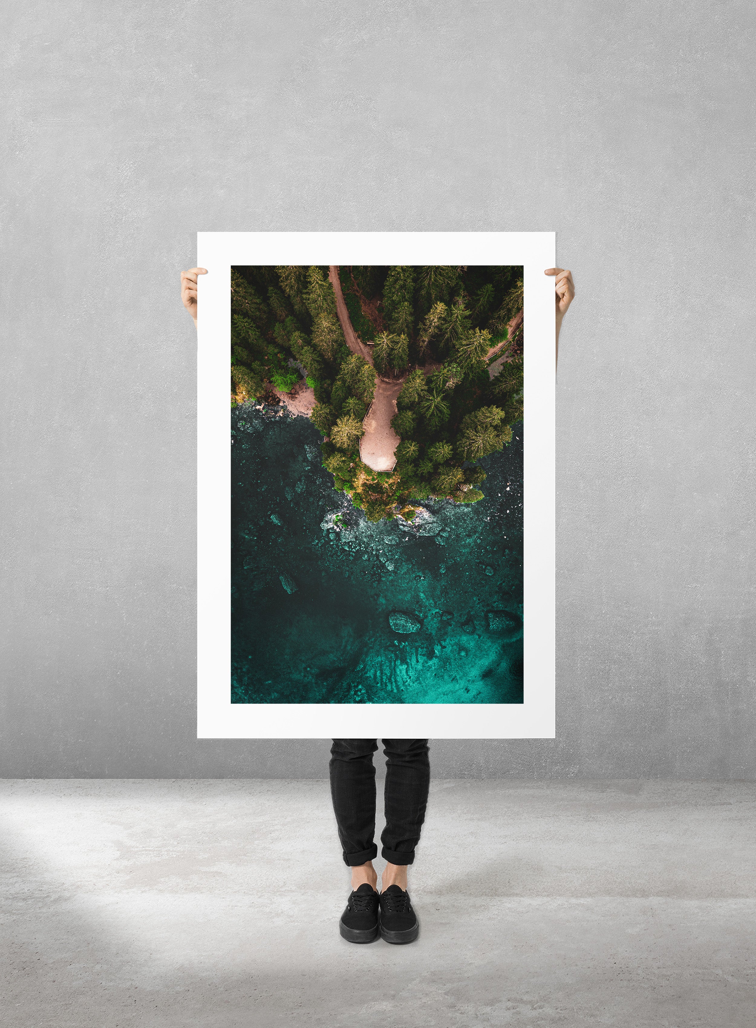 The Shallows
