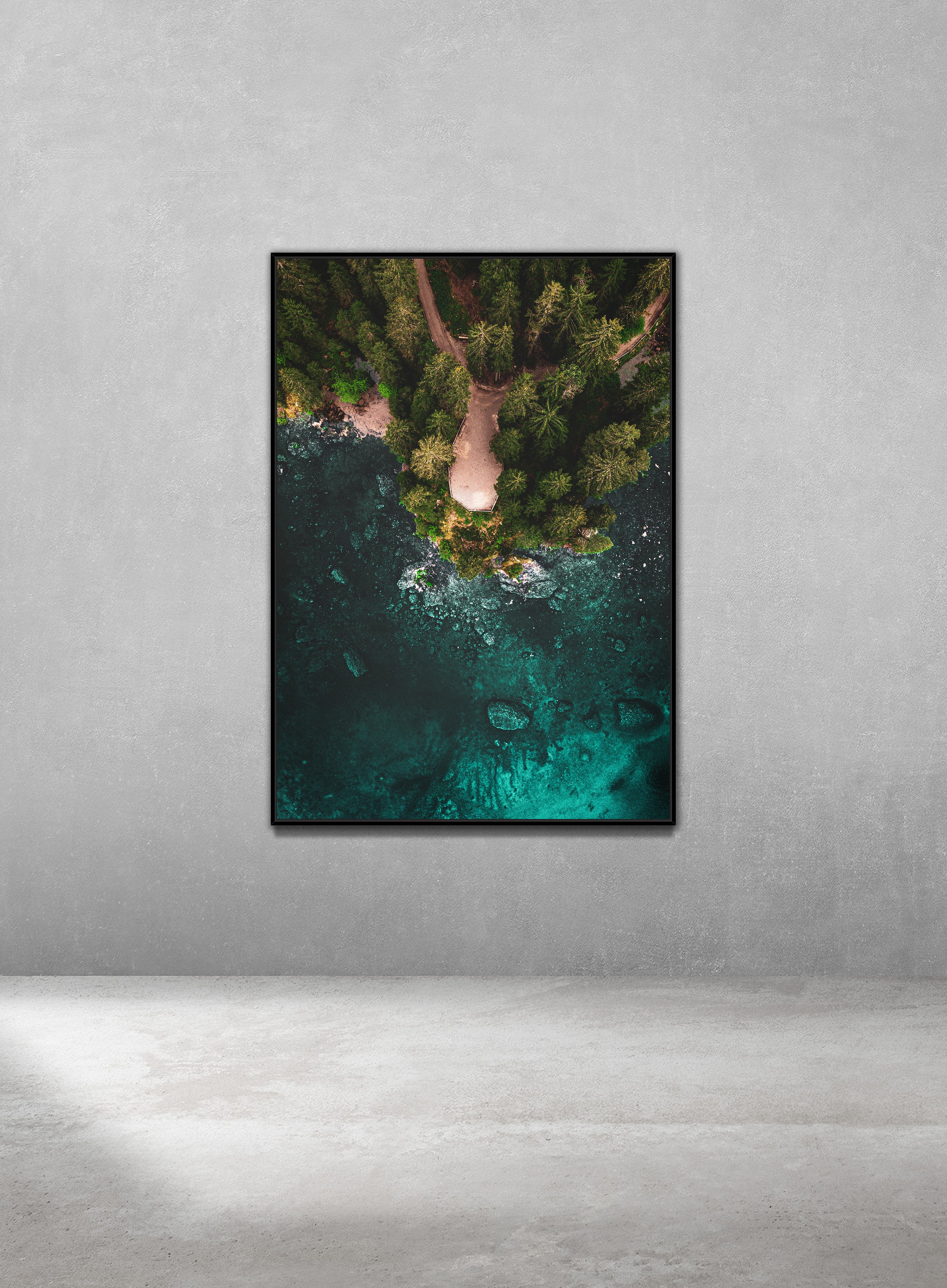 The Shallows
