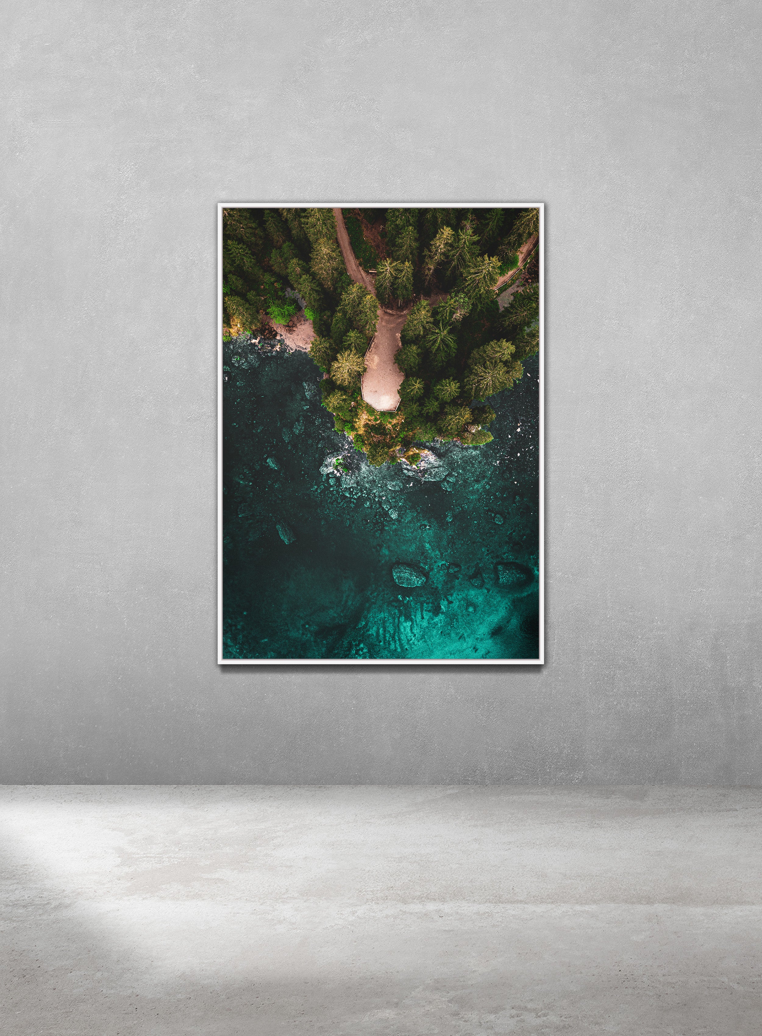 The Shallows