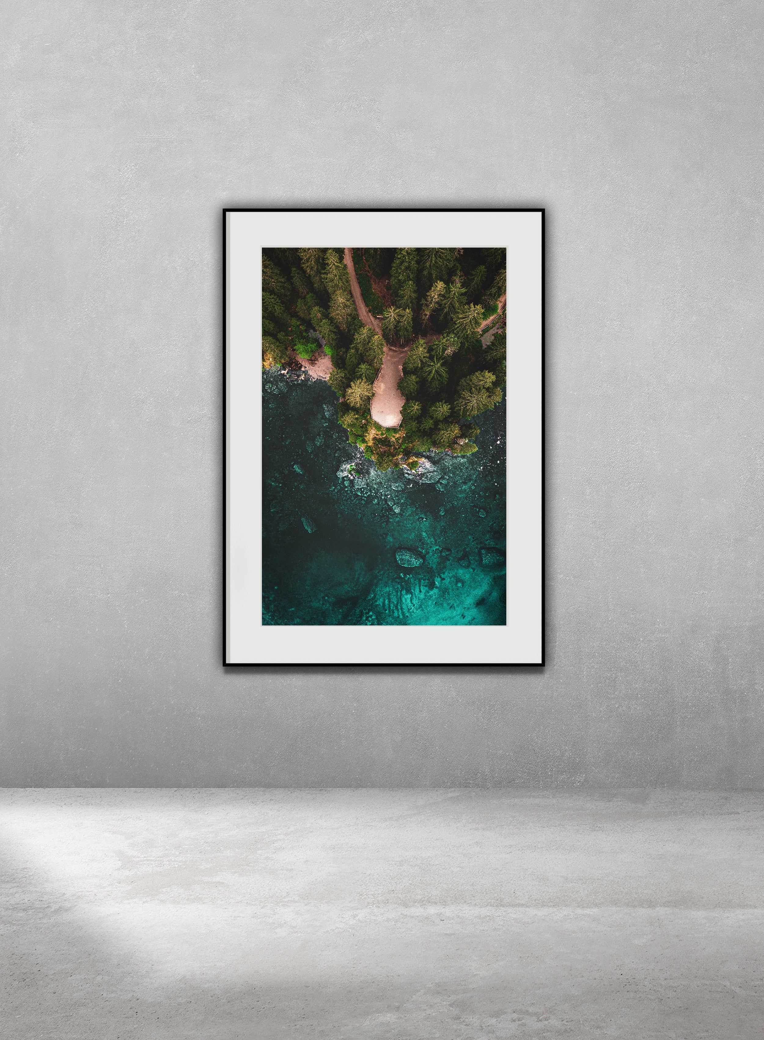 The Shallows
