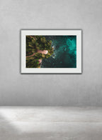 The Shallows