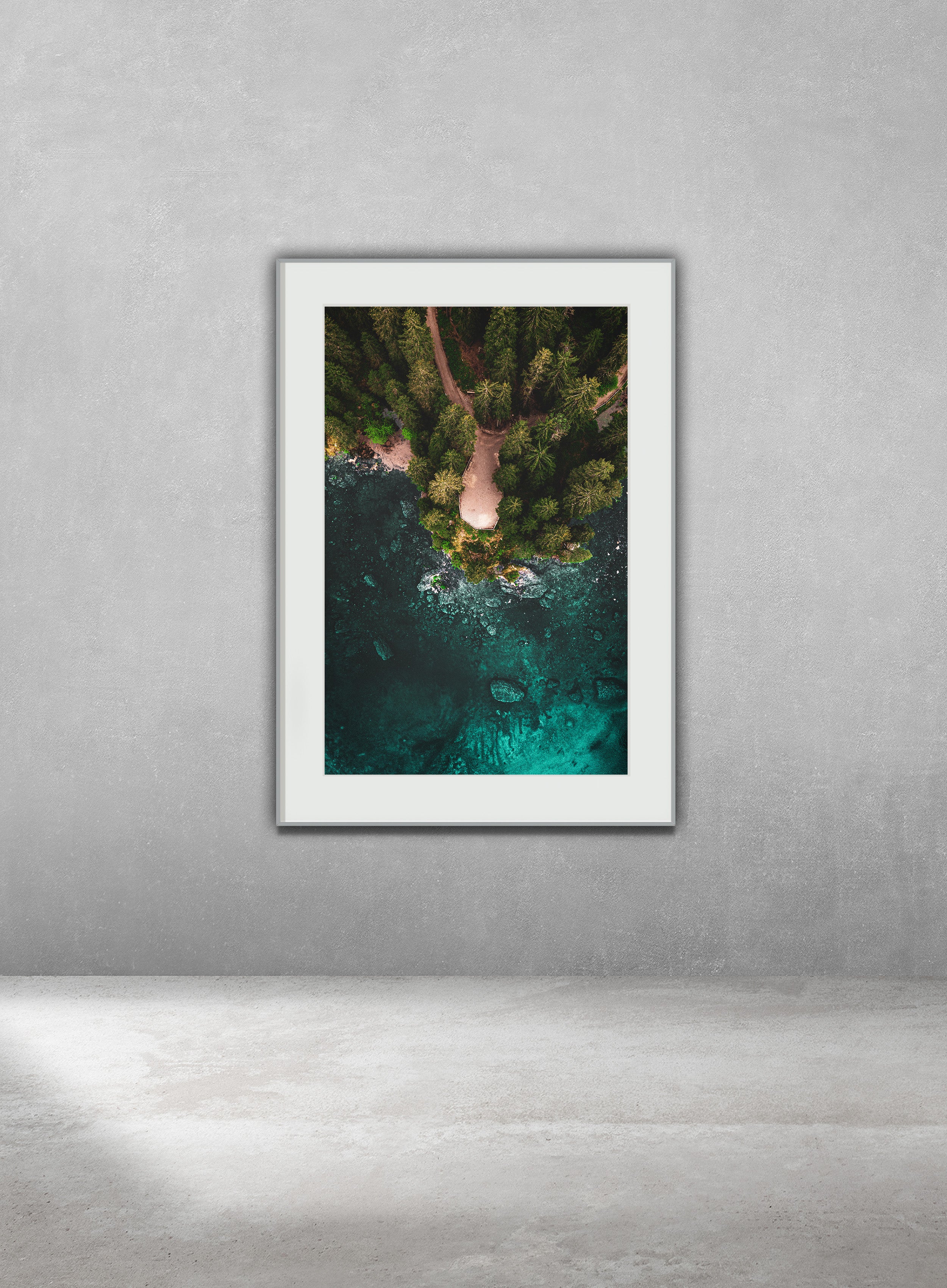 The Shallows